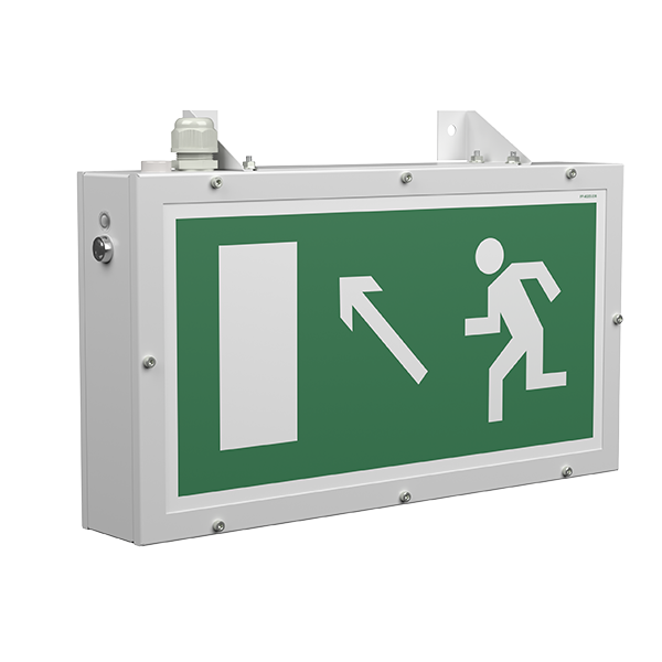 Белый свет Световой указатель BS-FLAGMAN-51-S1-INEXI2 a16720