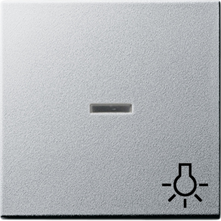 Gira Клавиша с пиктограммой "Свет" и контрольным окном 067426