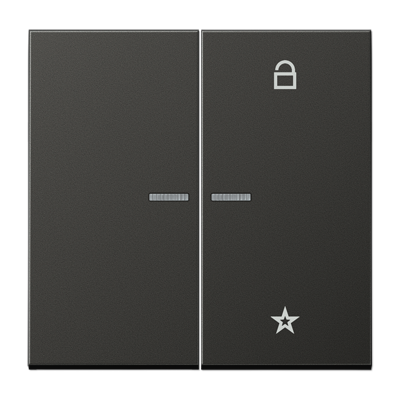 JUNG Центральная плата универсальная, антрацит AL1701AN