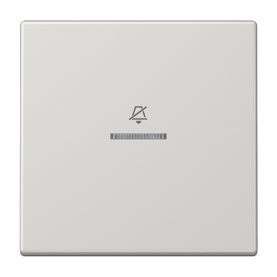 JUNG Двойная клавиша на гостиничный выключатель, комнатный модуль, светло-серый LSRUKO5DLG