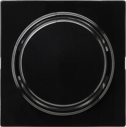 Gira Переключатель с клавишей 012747