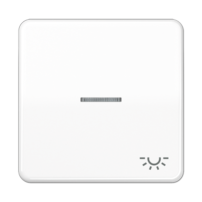 JUNG CD 500/CD plus Белая Клавиша 1-ая с/п с символом ОСВЕЩЕНИЕ CD590KO5LWW