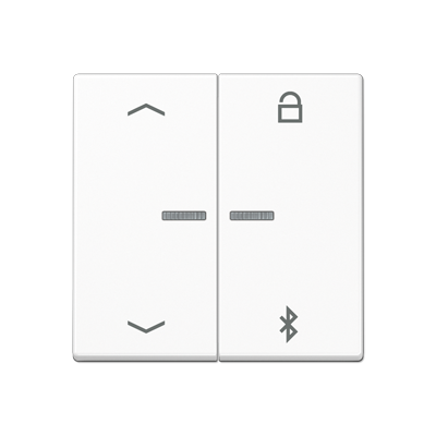 JUNG Таймер универсальный Bluetooth «стрелки», белый A1751PBTWW