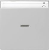 Gira Одинарная клавиша с полем для надписи и подсветкой 0670015