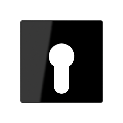 JUNG Крышка для выключателя с замком черный A525PLSW