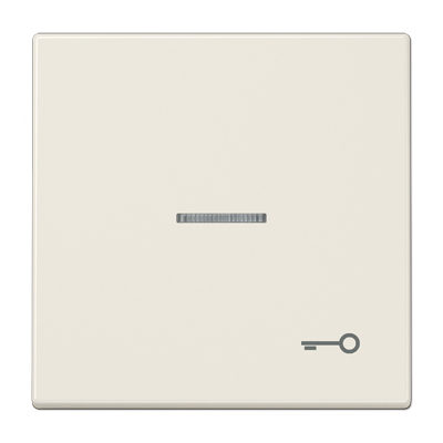 JUNG Клавиша для выключателя с символом «Ключ», слоновая кость LS990KO5T