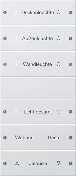 Gira Набор клавиш 6-местный (3+3),  ГРАВИРОВКА 220603