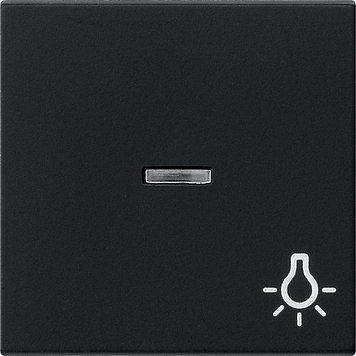 Gira Клавиша с пиктограммой "Свет" и контрольным окном 0674005