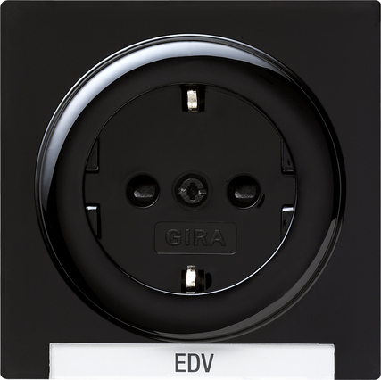 Gira Розетка с полем для надписи 018747