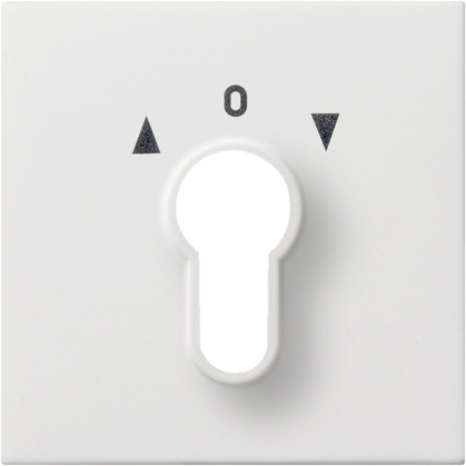 Gira Накладка выключателя с ключом 0664112