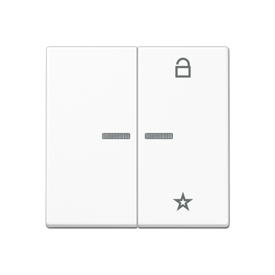 JUNG A Flow/A 550 Белый матовый Центральная плата универсальная A1701BFWWM