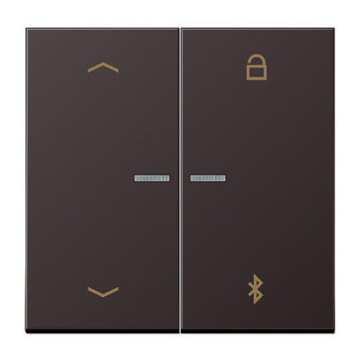 JUNG Таймер универсальный Bluetooth «стрелки», Dark AL1751PBTD