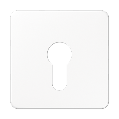 JUNG центральная плата для вставки с ключом, белый CD525WW