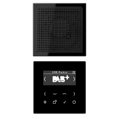 JUNG Цифровое радио DAB +, чёрный DABLS1SW