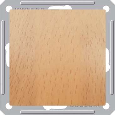 SE Wessen 59 Бук Переключатель 1-клавишный 16А (сх.6) VS616-156-8-86