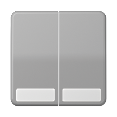 JUNG CD 500/CD plus Серая Клавиша 2-ая с полем для надписи CD595NAGR