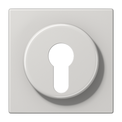 JUNG Крышка к выключателю для замочного механизма светло-серая LS928LG