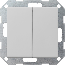 Gira Двухклавишный выключатель с самовозвратом 10А 250В, вертикальный 2860015