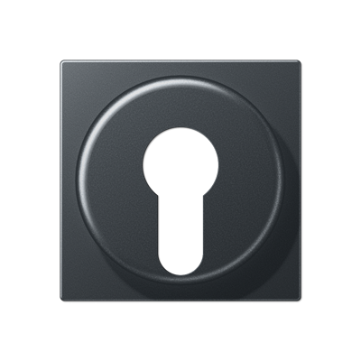 JUNG Накладка для выключателя с замком, матовый антрацит A528PLANM