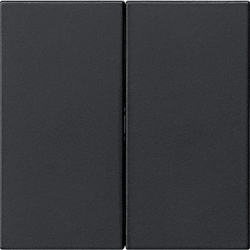 Gira Накладка управления 2-местн. System 3000 5362005