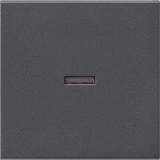 Gira S-55 Антрацит Клавиша 1-ая с подсветкой 029028