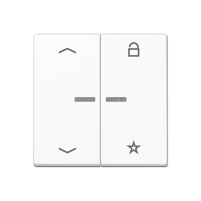 JUNG Центральная плата для вставок управления двигателями, белый A1701BFPWW