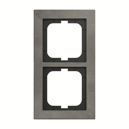 ABB Axcent Арт-бетон Рамка 2-постовая 2CKA001754A4796