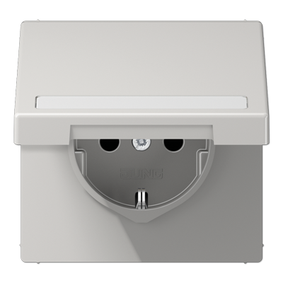 JUNG SCHUKO розетка с полем для надписи и крышкой LS1520BFNAKLLG