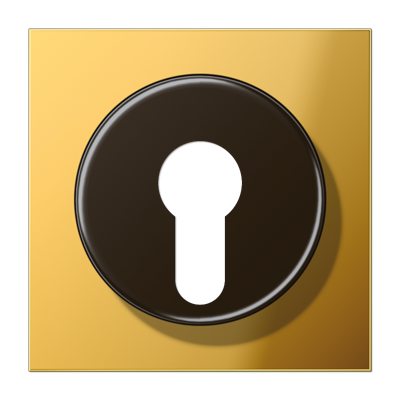 JUNG Крышка к выключателю для замочного механизма металл цвета золота GO2928