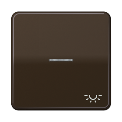 JUNG CD 500/CD plus Коричневая Клавиша 1-ая с/п с символом ОСВЕЩЕНИЕ CD590KO5LBR