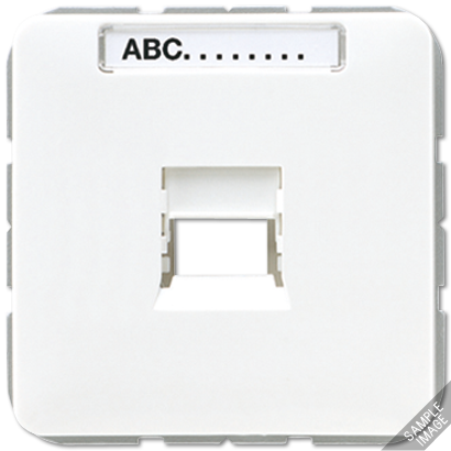 JUNG Крышка для модульных гнезд AMP  KAT5 569-15WE