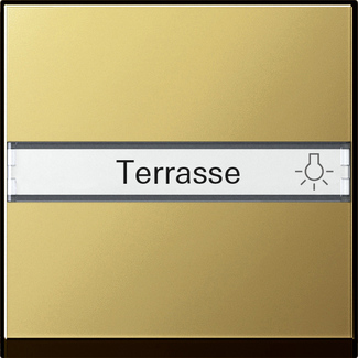 Gira Клавиша с полем для надписи 0299604