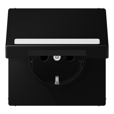 JUNG LS 990 Черный матовый Розетка с крышкой, с полем для надписи, SCHUKO LS1520BFNAKLSWM