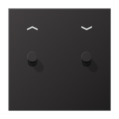 JUNG LS1912 Dark Центральная плата, 1 пост, 2 тумблера,конус; метал. исполнение AL12-5PDK01