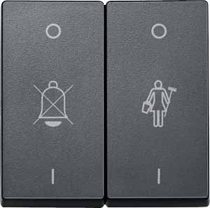 Купить SE Merten SM Антрацит Две клавиши с маркировкой «перечёркнутый звонок» и «горничная» (MTN435614)