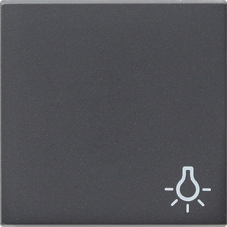 Gira Клавиша с пиктограммой "свет" 028528