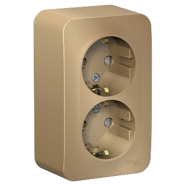 Купить Systeme Electric Blanca наруж Титан Розетка 2-ая с/з со шторками, 16А, 250В