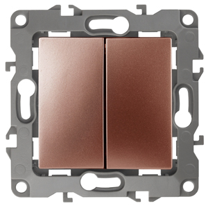 ЭРА 12-1106-14 Переключатель двойной, 10АХ-250В, IP20, 12, Медь