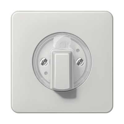 JUNG Накладка поворотного механизма светло-серая CD1541LG