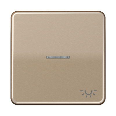 JUNG CD 500/CD plus Бронза Клавиша 1-ая с/п с символом ОСВЕЩЕНИЕ CD590KO5LGB