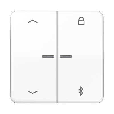 JUNG Таймер универсальный Bluetooth «стрелки», белый CD1751PBTWW