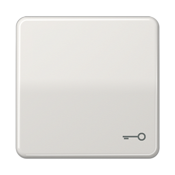 JUNG CD 500/CD plus Светло-серая Клавиша 1-ая с символом КЛЮЧ CD590TLG