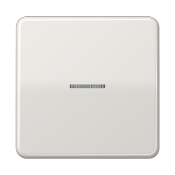 JUNG Клавиша для KNX кнопки, 1 группа с окошком дюропласт светло-серый CD101KO5LG
