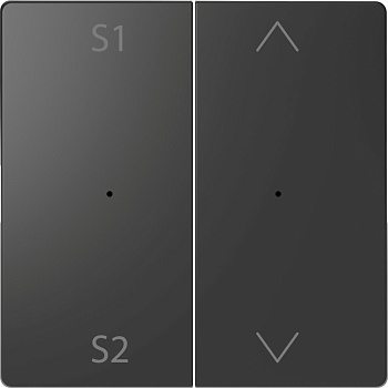 SE Merten D-Life Антрацит PlusLink Клавиша 2-ая с S1/S2, вх/вз MTN5227-6034