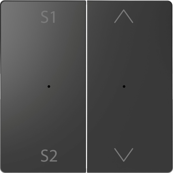 SE Merten D-Life Антрацит PlusLink Клавиша 2-ая с S1/S2, вх/вз MTN5227-6034