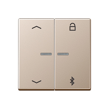 JUNG Таймер универсальный Bluetooth «стрелки», шампань A1751PBTCH