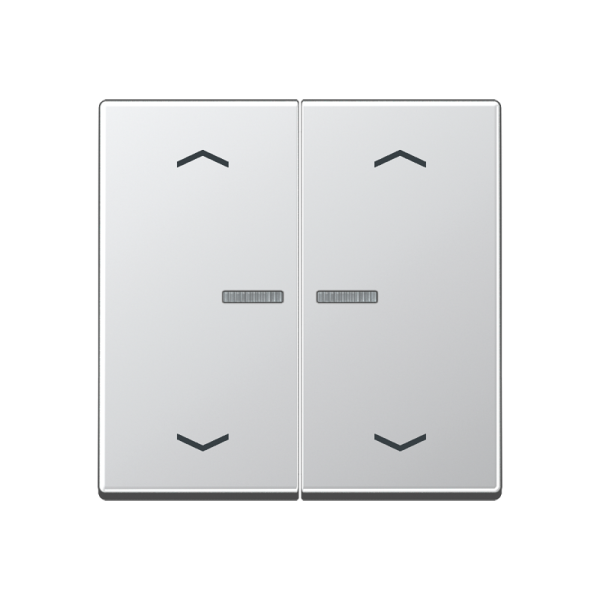 JUNG Клавиши для сдвоенной кнопки BCU, алюминий A595KO5MPAL