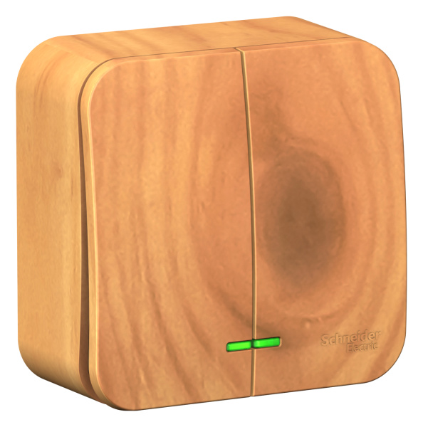 Купить Systeme Electric Blanca наруж Ясень Выключатель 2-клавишный с подсветкой, 10А, 250B