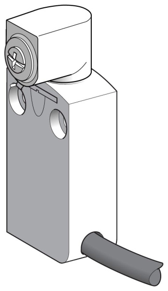Купить SE Выключатель концевой 1НО1НЗ с кабелем 1м XCMD2101L1