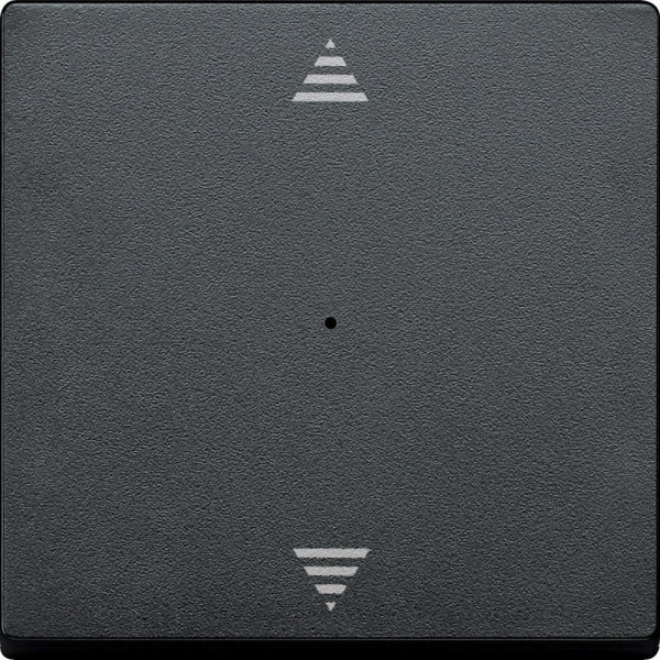 SE Merten KNX\EIB SM Антрацит Клавиша для модуля 1-кнопочного выключателя, с символами ВВ/ВН MTN625514